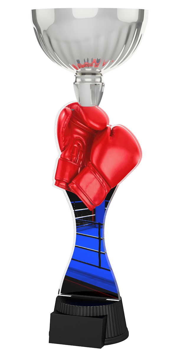 Box-Pokal ACUPC 18 S in Silber mit roten Boxhandschuhen, blauem
Boxring-Motiv auf geschwungenem Acryl und schwarzem Sockel. Ideal 
als Auszeichnung für Boxturniere und Siegerehrungen