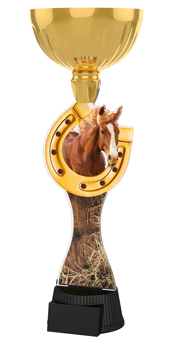 Reitsport-Pokal ACUPC 26 G in Gold mit Pferdekopf, goldenem
Hufeisen,Holz-Stroh-Motiv auf geschwungenem Acryl und 
schwarzem Gravursockel. Ideal als Auszeichnung für Reitturniere
und Siegerehrungen.