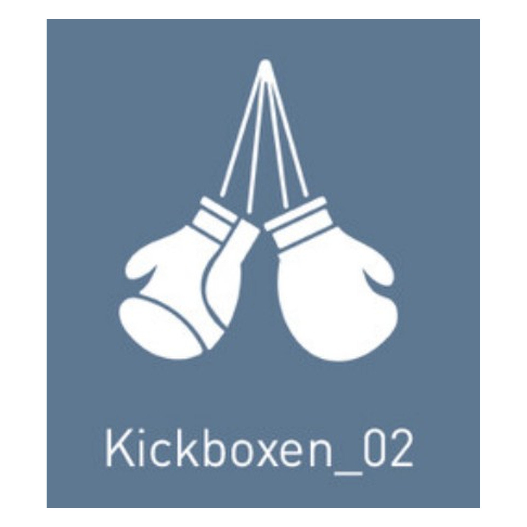 Kickboxen_02