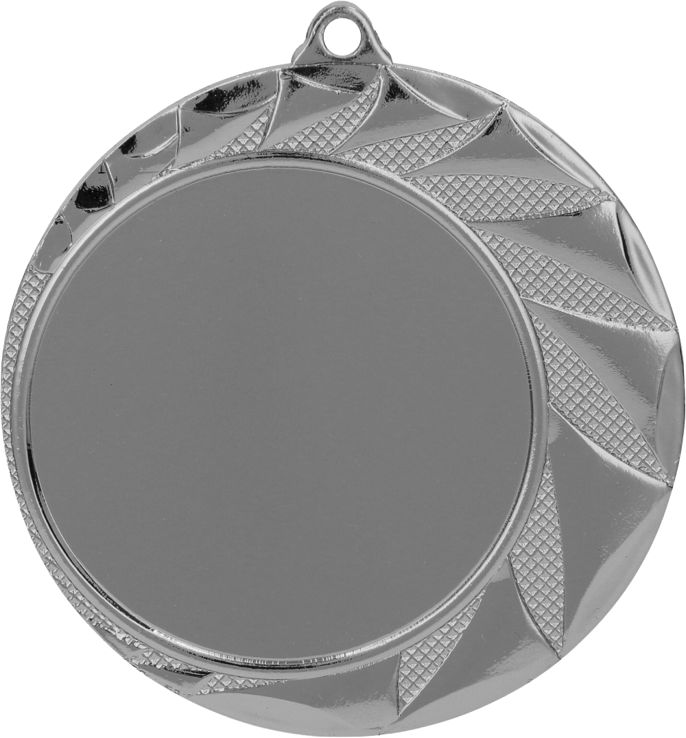 Die Prag-Medaille der Standard Edition ist erhältlich in Gold, Silber und Bronze und eignet sich ideal zur Ehrung von Siegern und Teilnehmern.