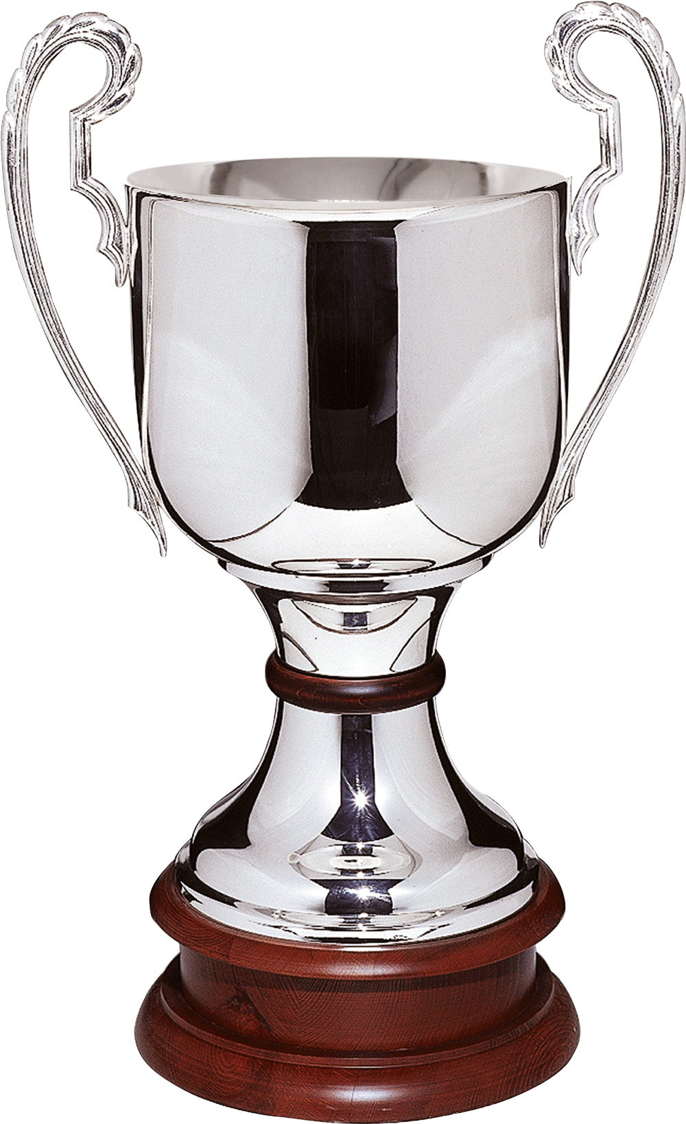 Europa Pokal mit klassischem silberfarbenem Kelch, eleganten
geschwungenen Henkeln und hochwertigem dunkelbraunem
Holzsockel. Zeitloses Design für Wettbewerbe, Turniere,
Siegerehrungen und besondere Auszeichnungen.