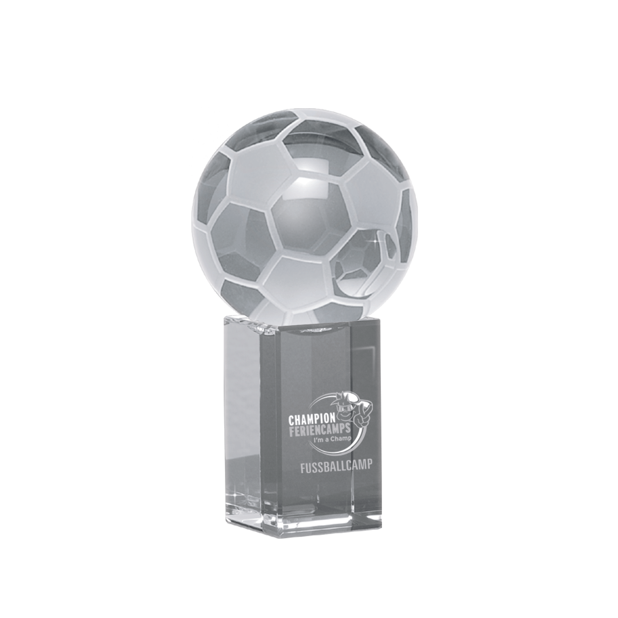 Kristallglas-Fußball auf hochwertigem Kristallglas-Sockel
mit eleganter Gravur. Edle Auszeichnung für
Fußballturniere, Vereinsmeisterschaften und Ehrungen.