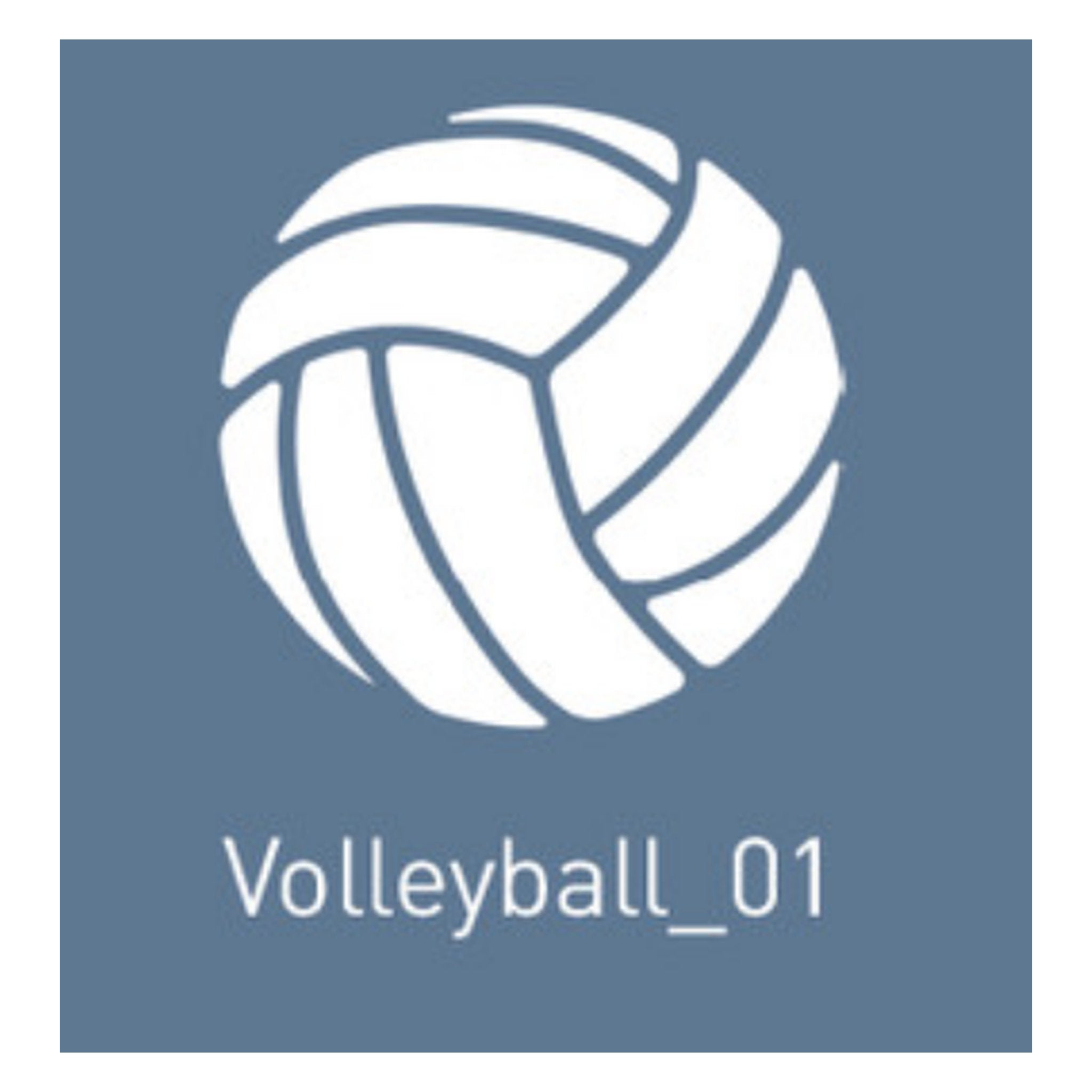 Volleyball_01