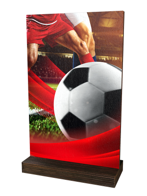 Colorful Wood Trophäe Football mit Fußballmotiv und
hochwertigem Holzsockel – moderne Auszeichnung für
Turniere, Meisterschaften und sportliche Ehrungen.