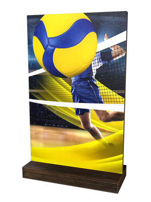 Colorful Wood Volleyball-Trophäe mit gelb-blauem Volleyball,
Volleyballspieler am Netz, dynamischem
Stadionhintergrundund hochwertigem dunkelbraunem
Holzsockel. Ideal für Volleyballturniere und Ehrungen.