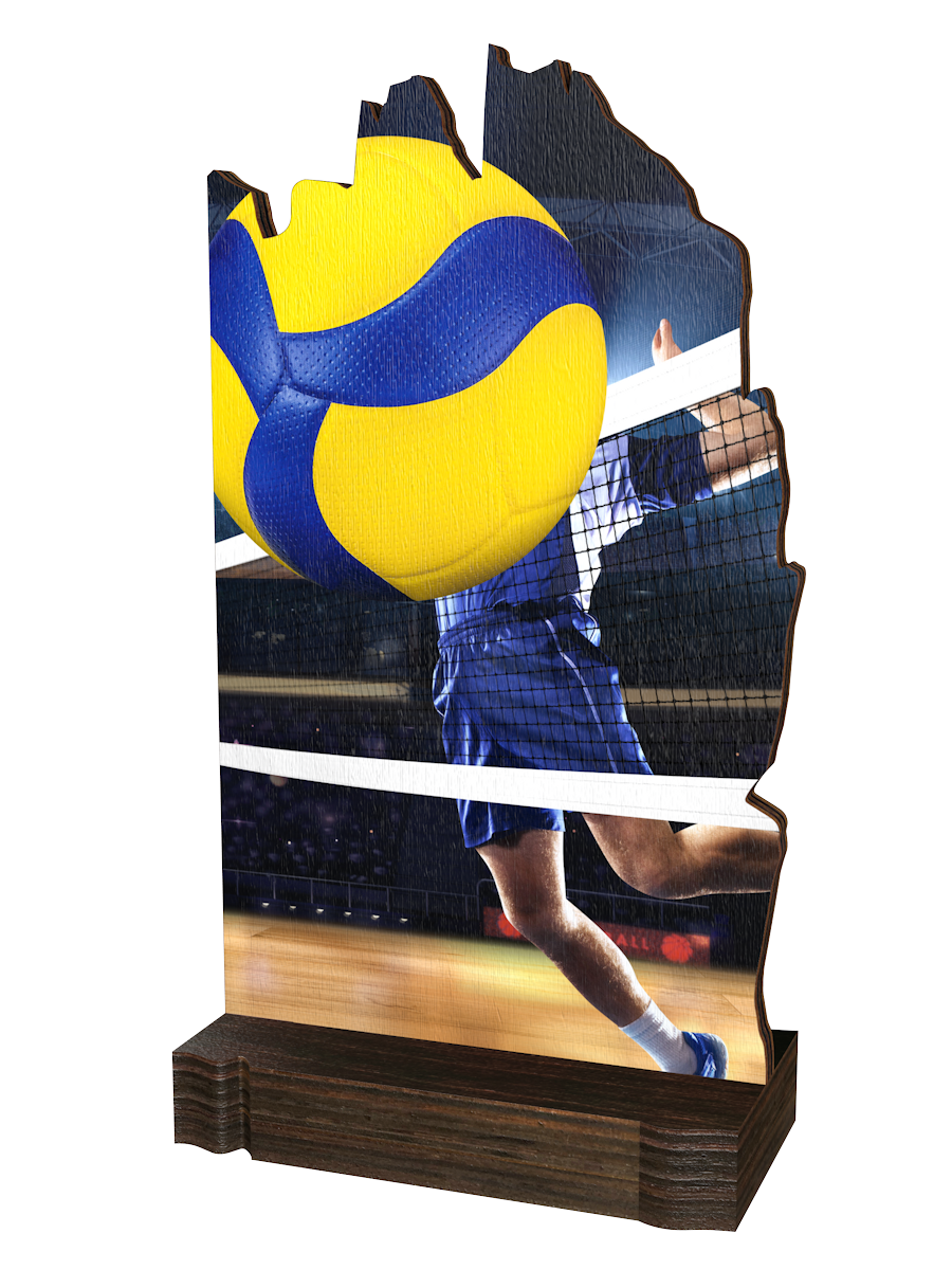 Colorful Wood Volleyball-Trophäe mit gelb-blauem Volleyball,
Volleyballspieler am Netz, dynamischem
Stadionhintergrundund hochwertigem dunkelbraunem
Holzsockel. Ideal für Volleyballturniere und Ehrungen.