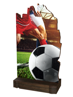 Colorful Wood Trophäe Football mit Fußballmotiv und
hochwertigem Holzsockel – moderne
Auszeichnung für Turniere, Meisterschaften und
sportliche Ehrungen.