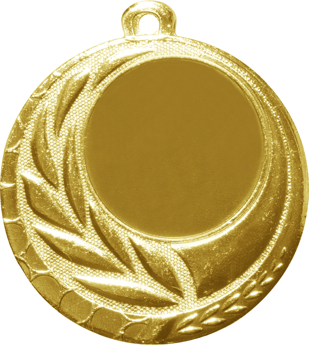 Medaille KLAGENFURT Ø 45 mm Gold