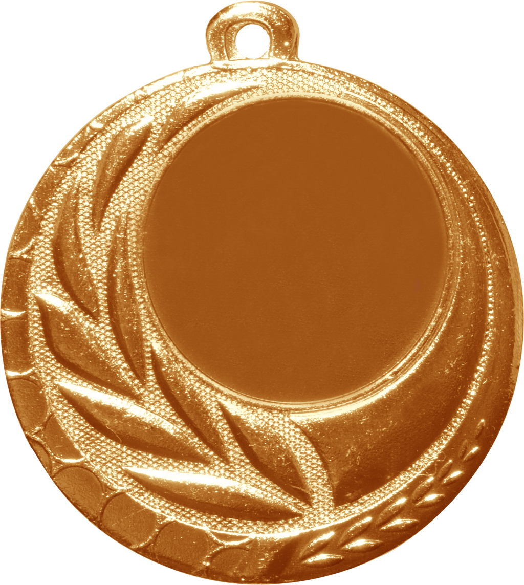 Medaille KLAGENFURT Ø 45 mm Bronze