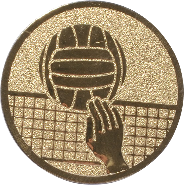 Emblem VOLLEYBALL Ø 25 mm Gold