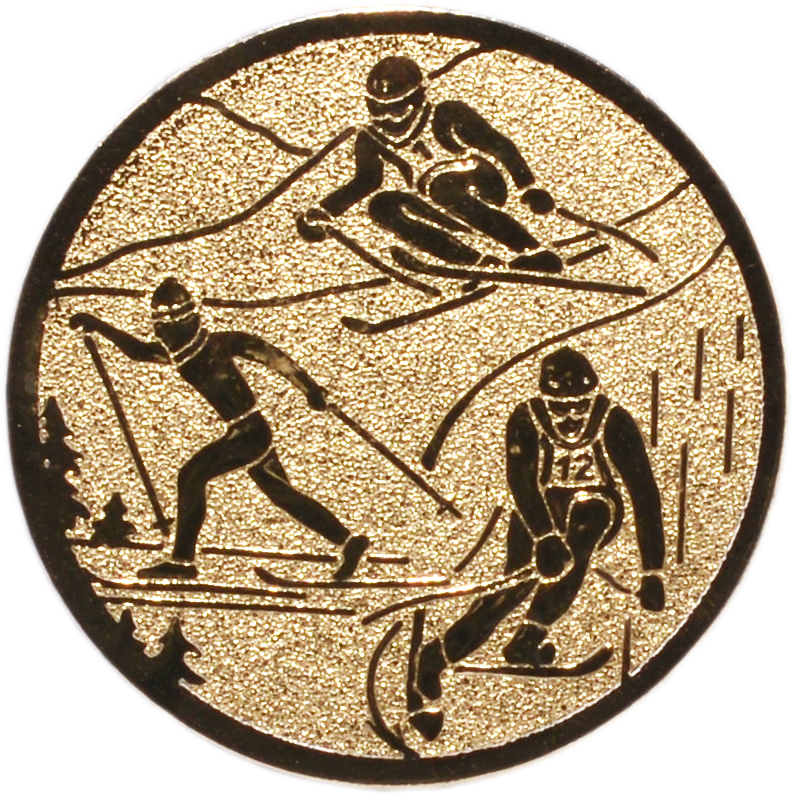 Emblem SKI KOMBI Ø 25 mm Gold