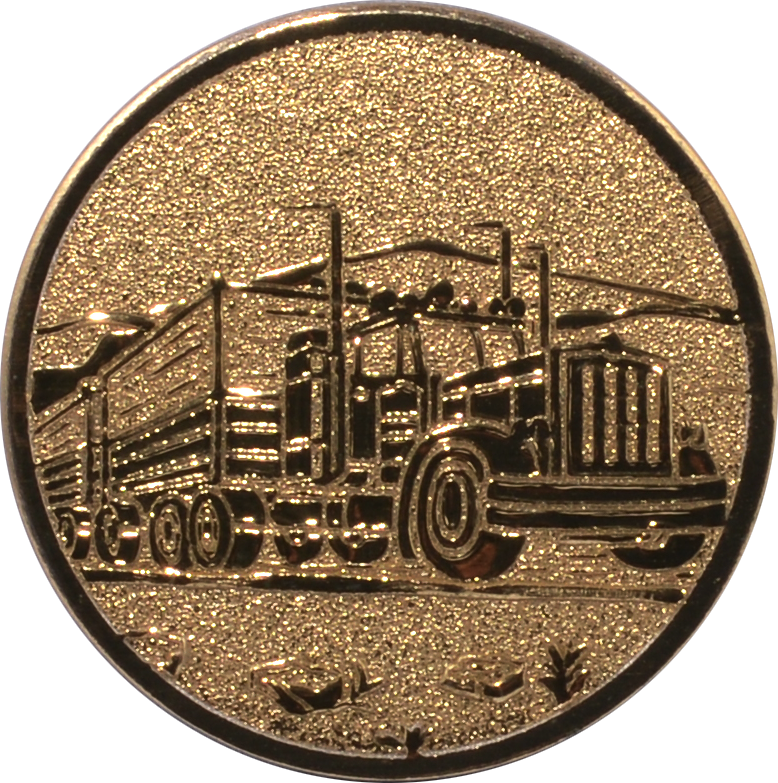 Emblem LKW TRUCK Ø 25 mm Gold