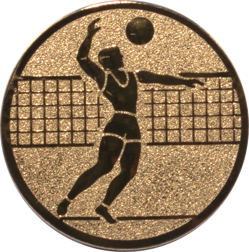 Emblem VOLLEYBALL HERREN Ø 25 mm Gold