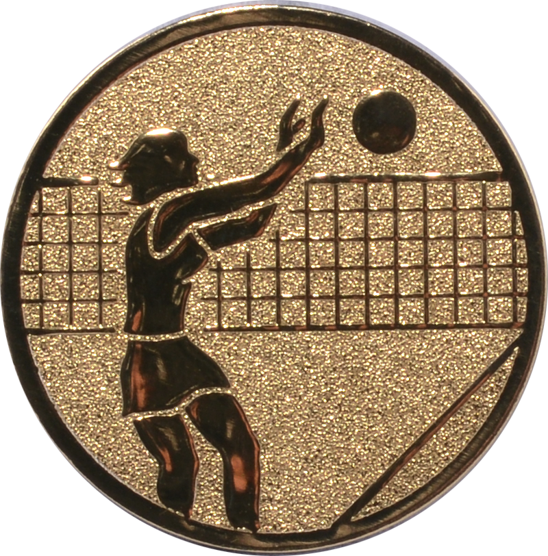 Emblem VOLLEYBALL DAMEN Ø 25 mm Gold