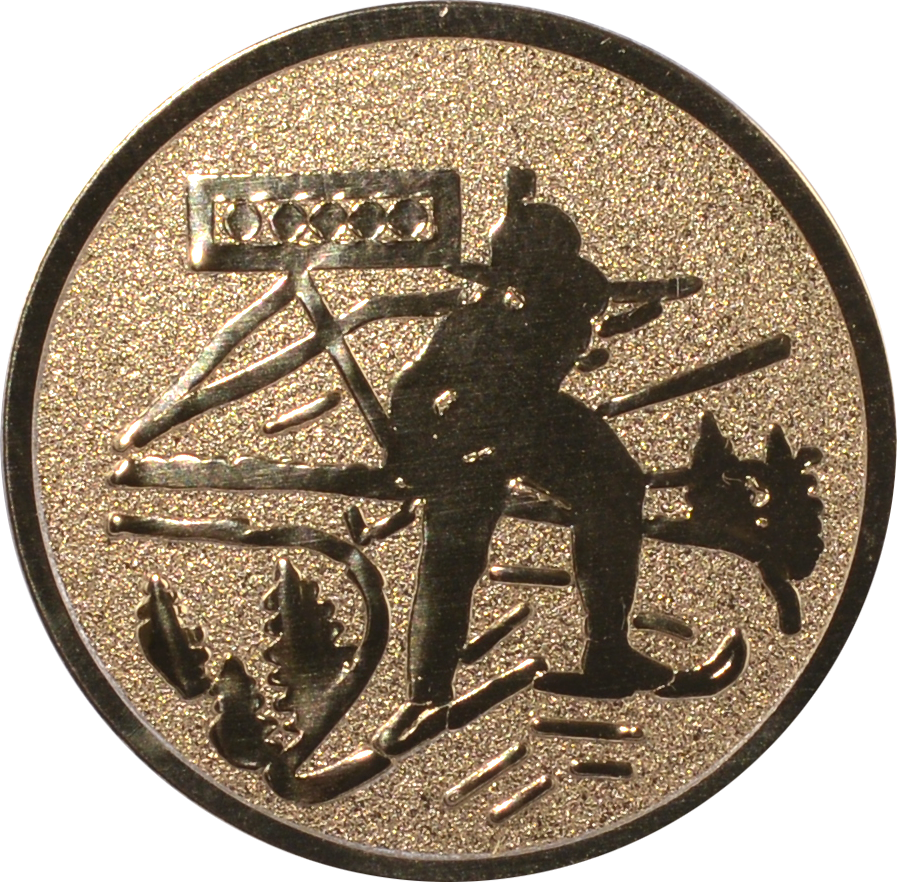 Emblem BIATHLON Ø 25 mm Gold