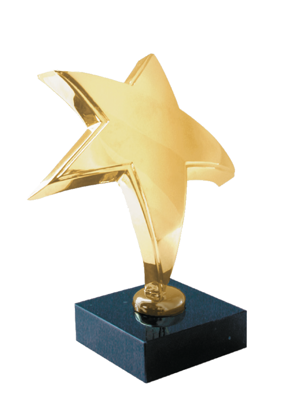 Rising Star Award - 14 cm