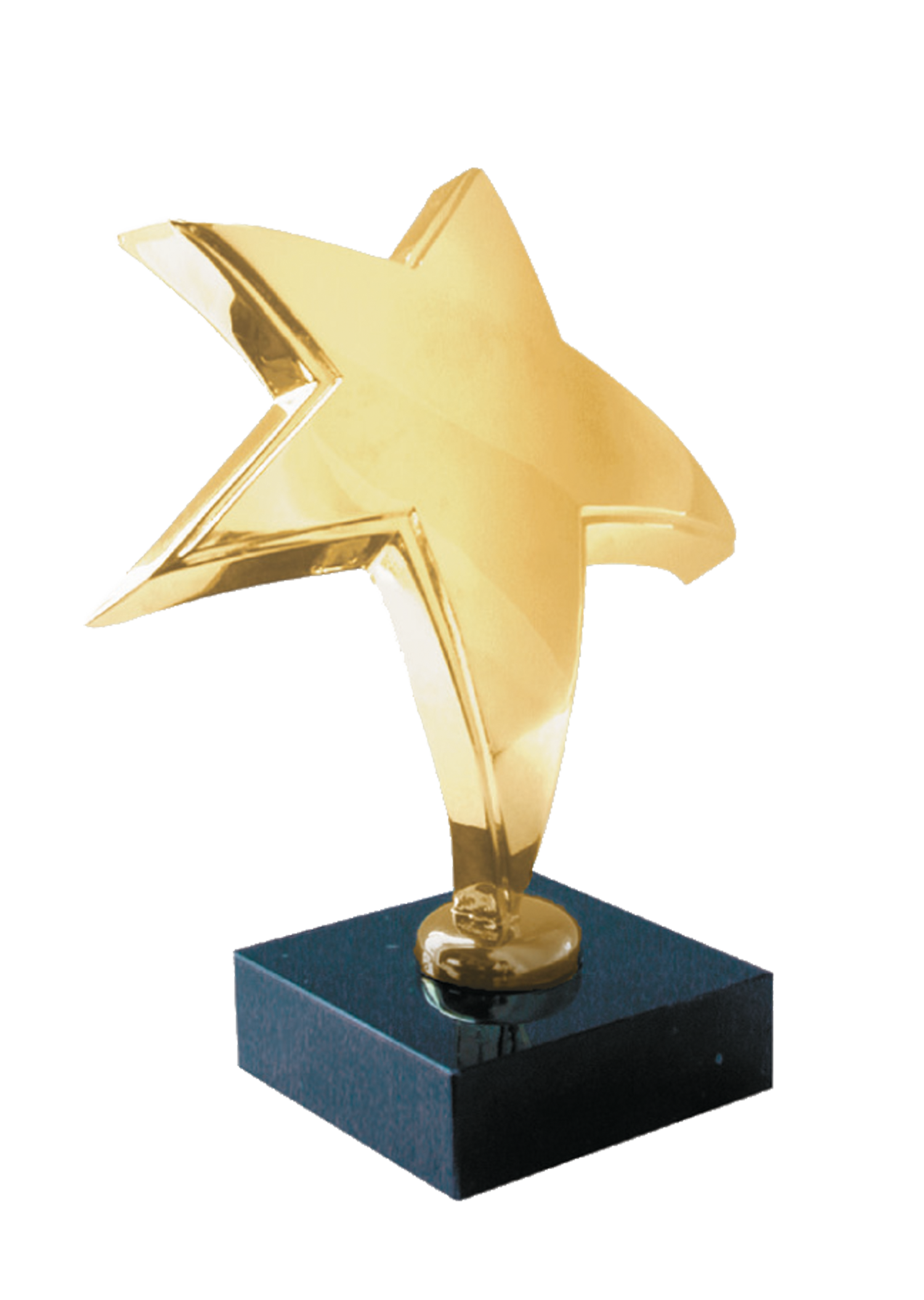 Rising Star Award - 21,5 cm