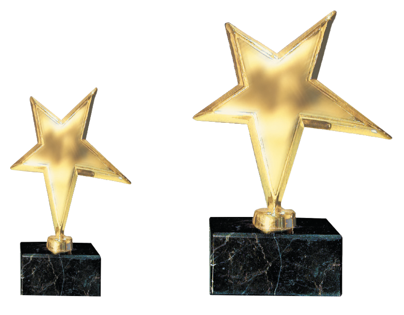 Rising Star Award - 14 cm