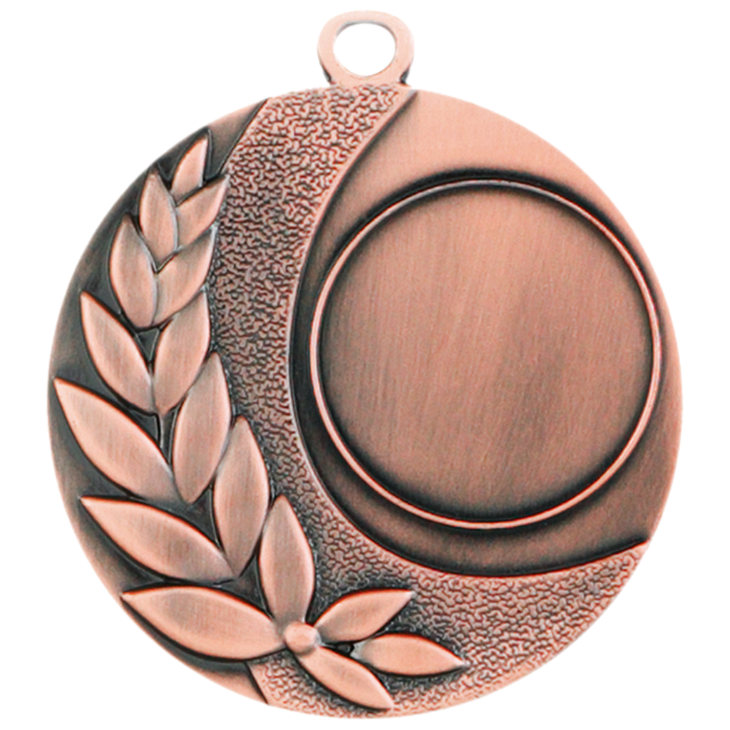 Medaille SALZBURG Ø 50 mm Bronze