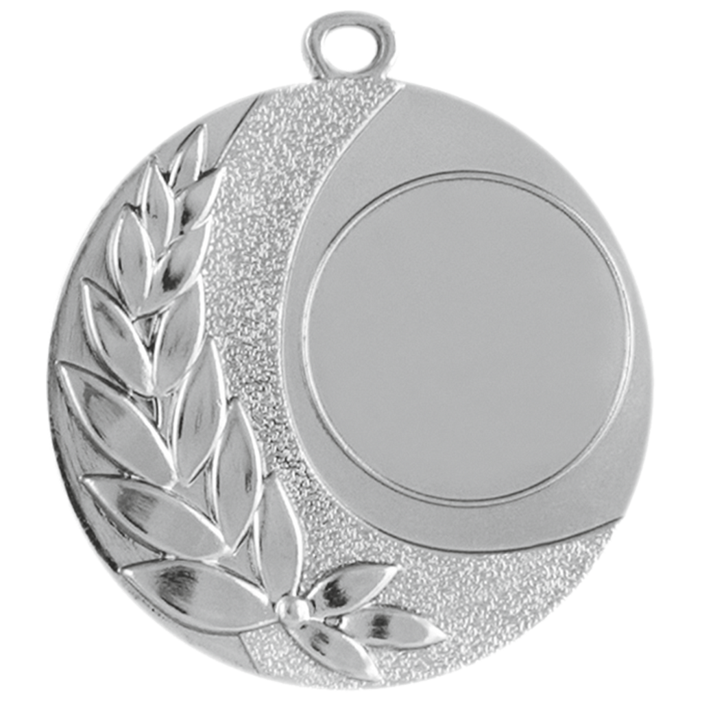 Medaille SALZBURG Ø 50 mm Silber