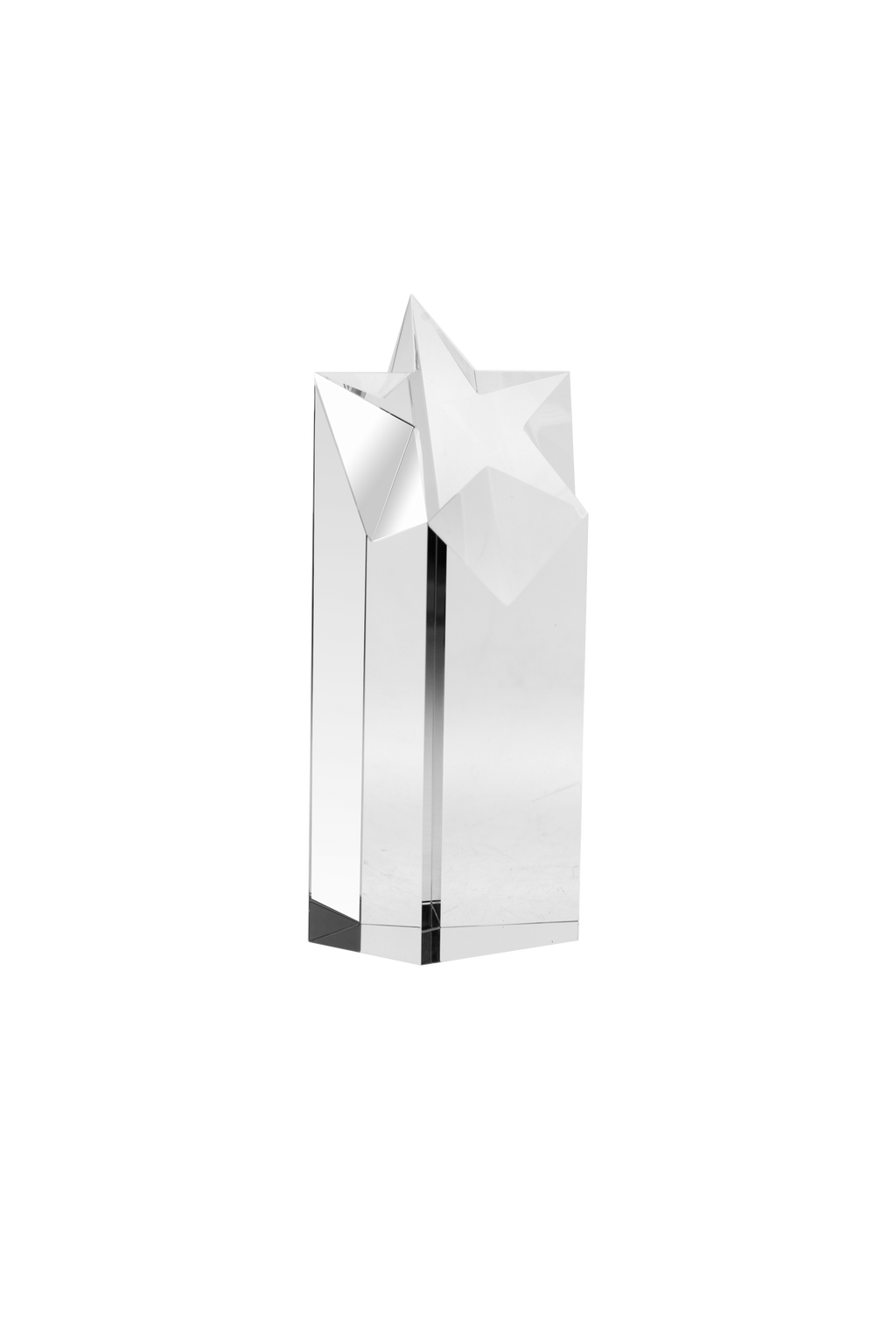 Five Star Award 195 mm